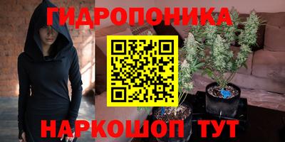 стафф Заводоуковск