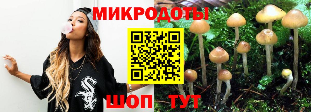 Еманжелинск  купить   Вход с VPN  Псилоцибиновые грибы мицелий 